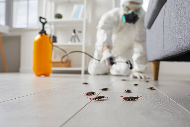 Commercial Kitchen Cockroach Control in Pocola